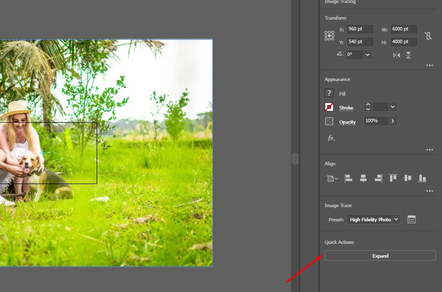 click to expand in the Illustrator