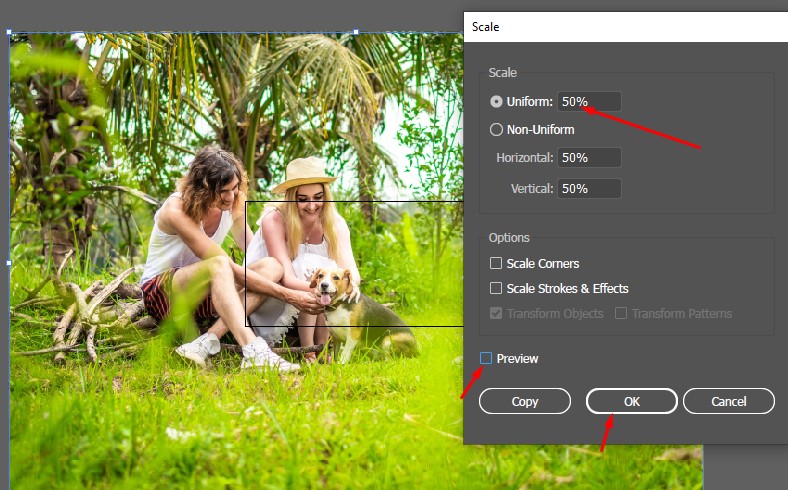 scale settings in Illustrator