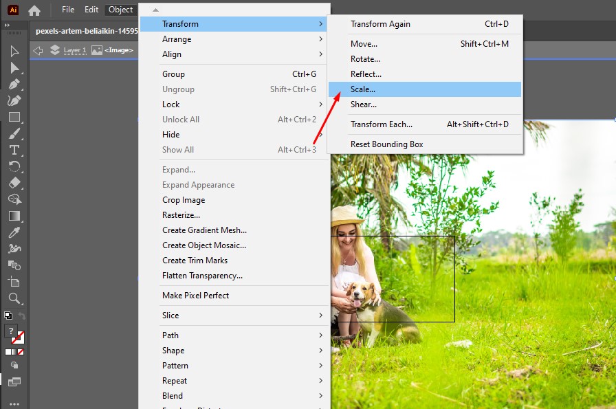 choose scale in Illustrator