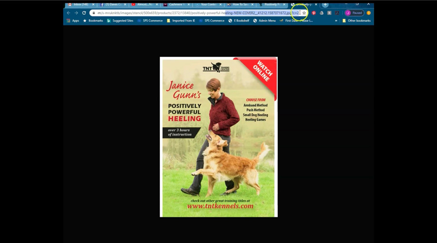 Open the file in a new tab