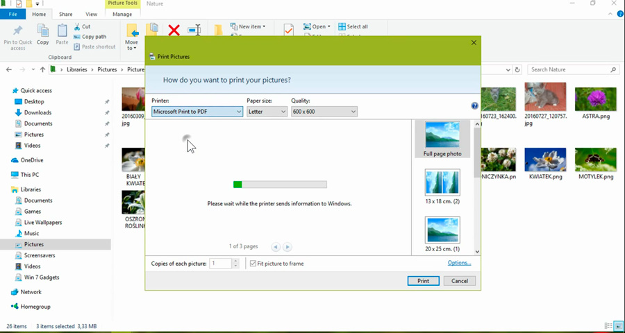 Microsoft print to pdf
