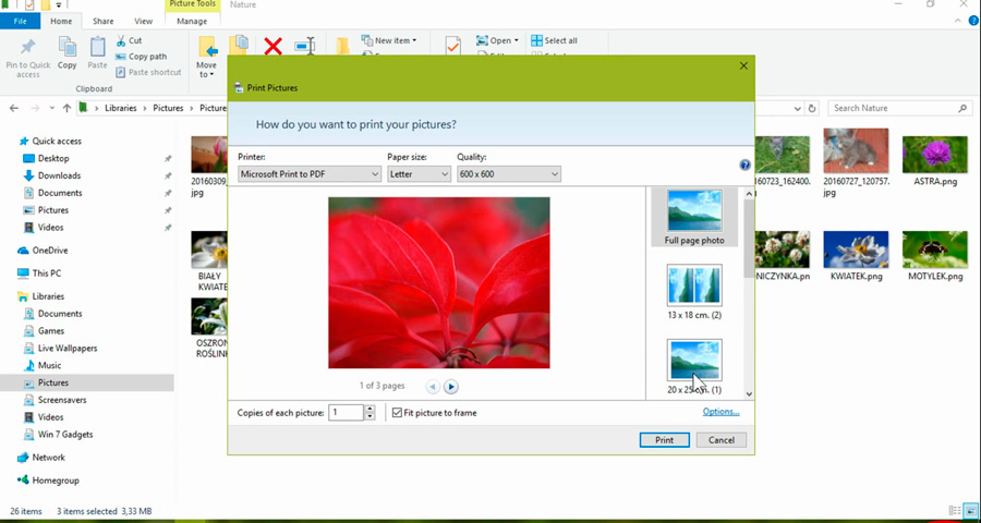Select the file size