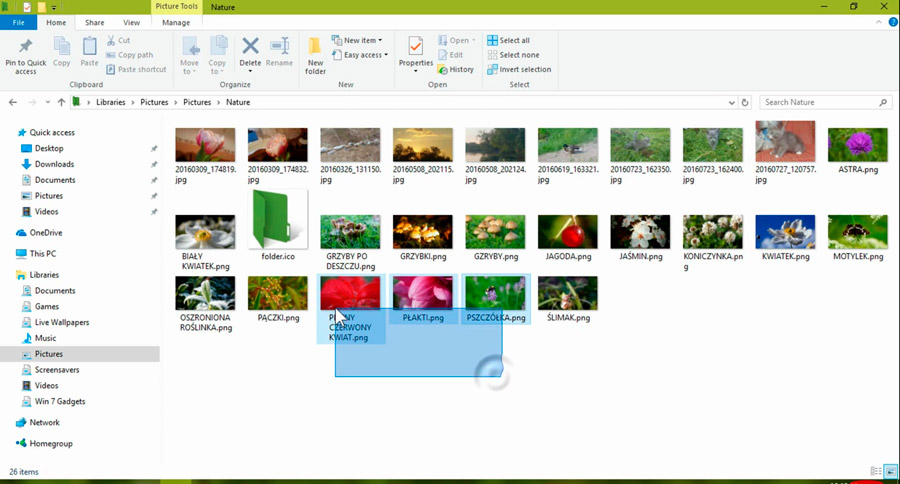 select a needed file