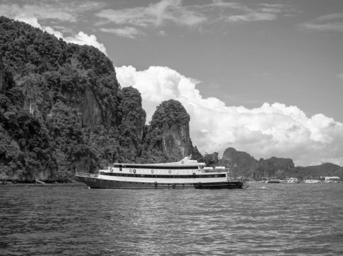 image before colorizing