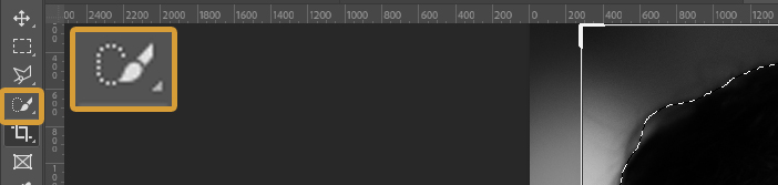 How to Use The Selection Tool