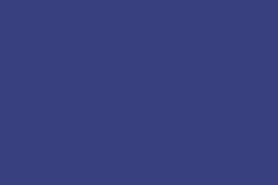 Smoky-Indigo-#38417E
