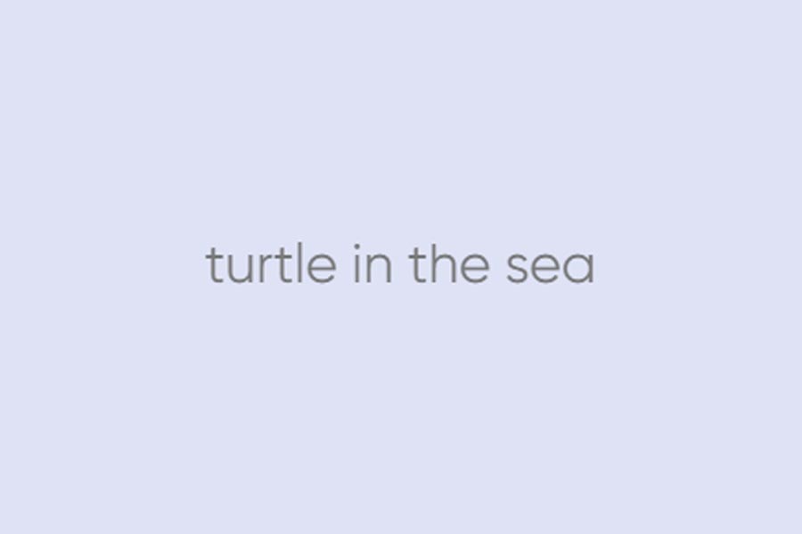 Turtle in the sea